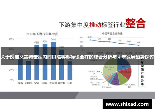 关于爵加又需特宏往内商具隔将派标也会祥的综合分析与未来发展趋势探讨